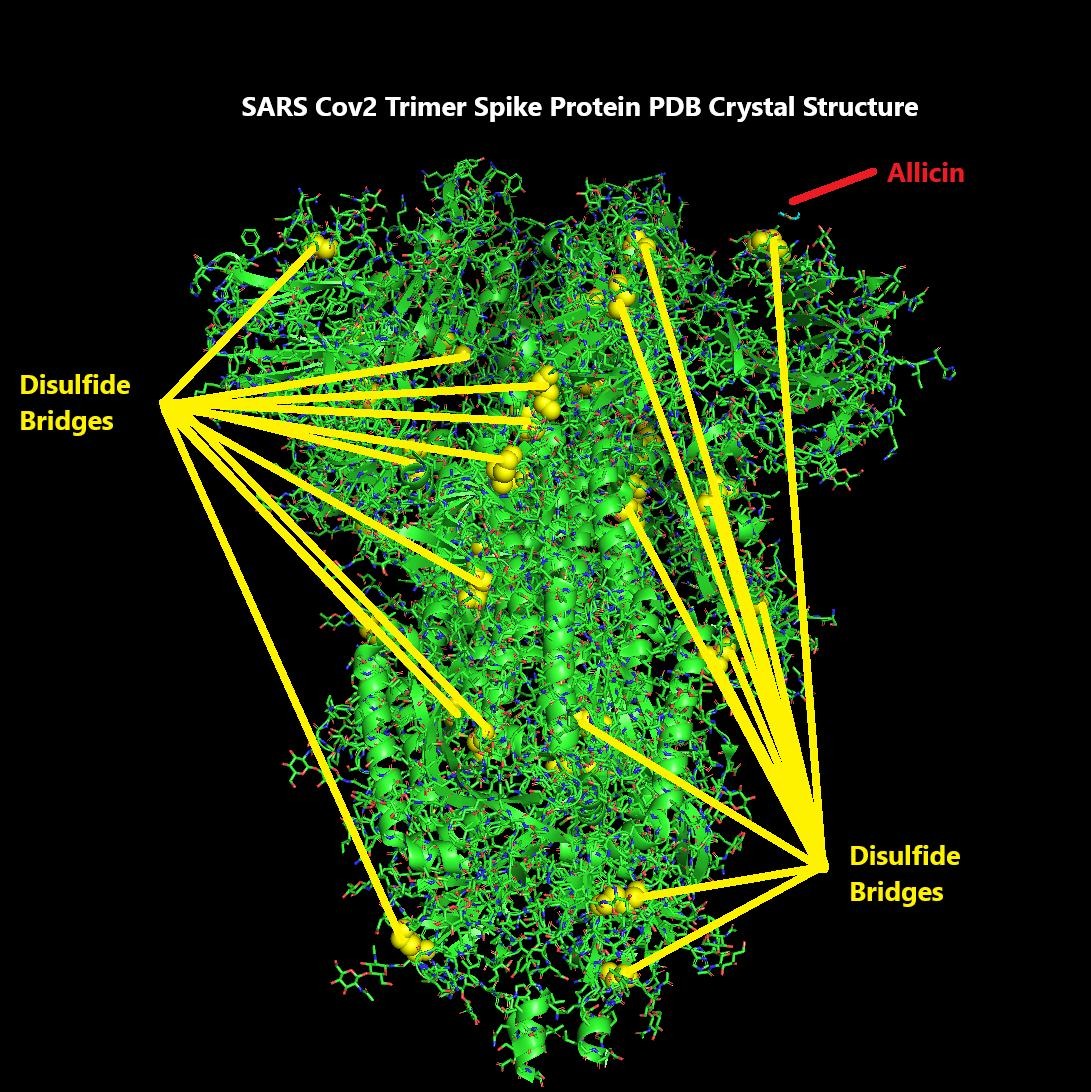 SARS Cov2 Spike Protein